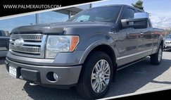 2009 Ford F-150 Platinum