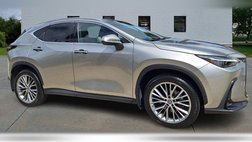 2023 Lexus NX 350 Luxury