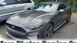2019 Ford Mustang EcoBoost