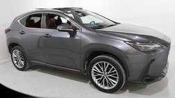 2022 Lexus NX 350h Luxury