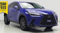 2025 Lexus NX 250 Premium
