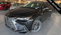 2025 Lexus NX 250 Premium