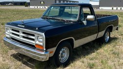 1990 Dodge RAM 150 D150S