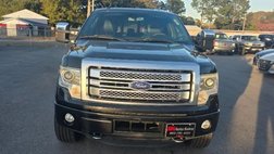 2014 Ford F-150 Platinum