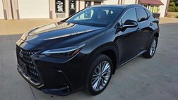 2023 Lexus NX 350 Luxury