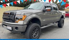 2013 Ford F-150 FX4