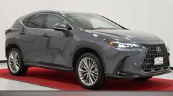 2025 Lexus NX 350h Premium