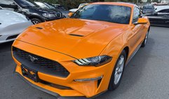 2019 Ford Mustang EcoBoost