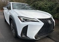 2019 Lexus UX 200 F SPORT