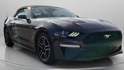 2022 Ford Mustang EcoBoost