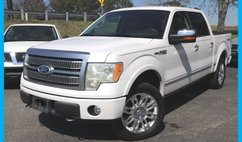 2010 Ford F-150 Platinum