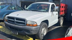 2003 Dodge Dakota Base