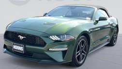 2023 Ford Mustang EcoBoost
