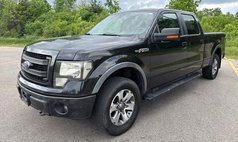 2014 Ford F-150 FX4