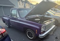 1978 Chevrolet Scottsdale