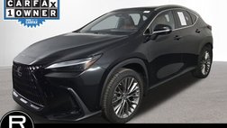 2022 Lexus NX 350h Luxury