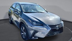 2019 Lexus NX 300 F SPORT