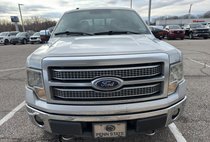 2010 Ford F-150 Platinum