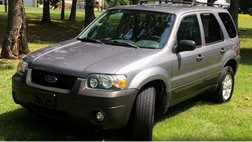 2007 Ford Escape XLT
