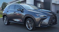 2022 Lexus NX 350h Luxury