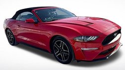 2023 Ford Mustang EcoBoost