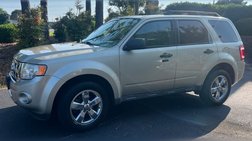 2010 Ford Escape XLT