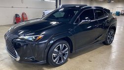 2025 Lexus UX 300h Premium