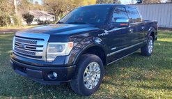 2014 Ford F-150 Platinum