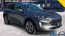 2021 Ford Escape Hybrid SEL