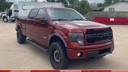 2014 Ford F-150 FX4