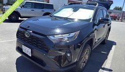 2024 Toyota RAV4 Hybrid Woodland Edition