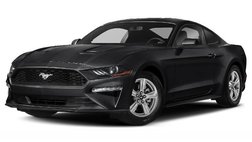 2019 Ford Mustang BULLITT