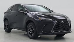 2024 Lexus NX 250 Premium