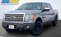 2010 Ford F-150 Platinum