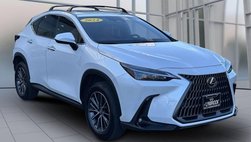 2024 Lexus NX 350h Premium
