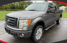 2010 Ford F-150 FX4