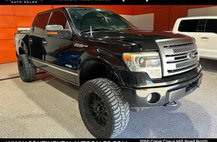 2013 Ford F-150 Platinum