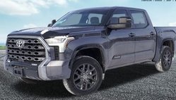 2022 Toyota Tundra Platinum