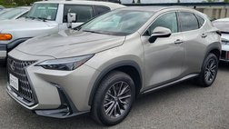 2024 Lexus NX 250 Base