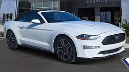2019 Ford Mustang EcoBoost