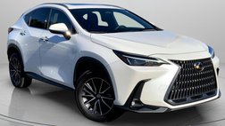 2024 Lexus NX 250 Premium