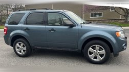 2011 Ford Escape XLT