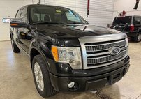 2010 Ford F-150 Platinum