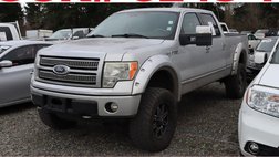 2010 Ford F-150 Platinum