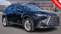 2024 Lexus NX 350 Luxury