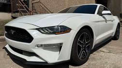 2019 Ford Mustang Premium