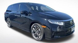 2021 Honda Odyssey Elite