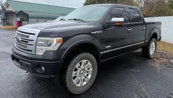 2013 Ford F-150 Platinum
