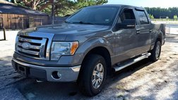 2009 Ford F-150 XLT