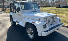 1993 Jeep Wrangler Renegade